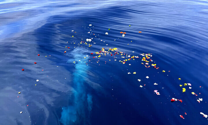 みんなの海洋散骨 　ニーズに合わせて選べる！